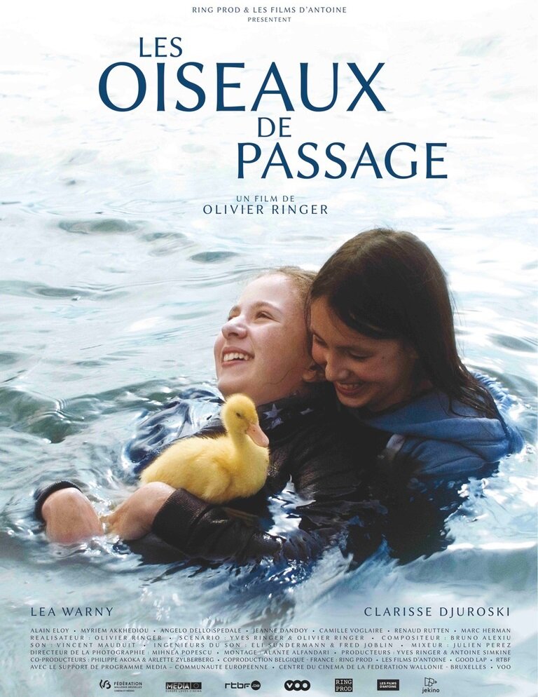 Les oiseaux de passage (2015)